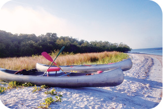 모래사항에 정박한 카누의 모습